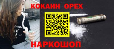 ГАЛЛЮЦИНОГЕННЫЕ ГРИБЫ Новозыбков