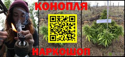ГАЛЛЮЦИНОГЕННЫЕ ГРИБЫ Новозыбков