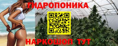 гашишное масло Новодвинск