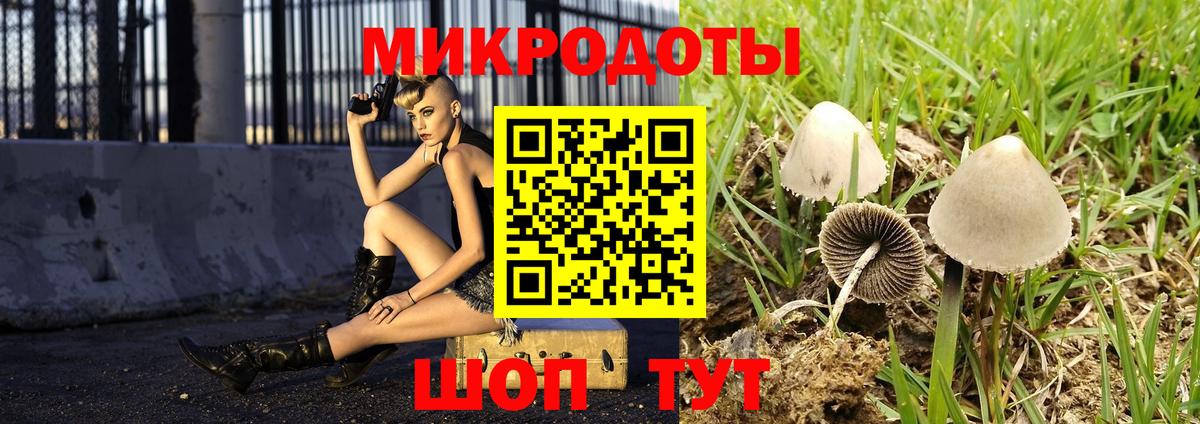 Галлюциногенные грибы MAGIC MUSHROOMS Ступино