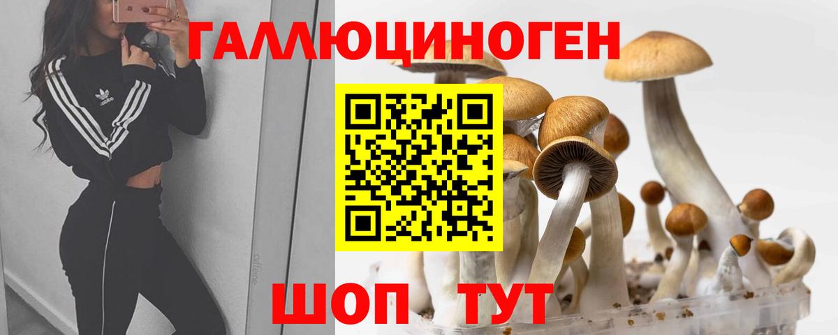 Ступино  Псилоцибиновые грибы мицелий  Вход с VPN 